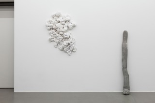 "White Bionics", Exhibition with Marcel Friedrich Weber, Art Academy Mainz, 2017/18

Work on the left: Untitled, fabric cotton fiberfill, tied, 90 x 65 x 20 cm, 2017