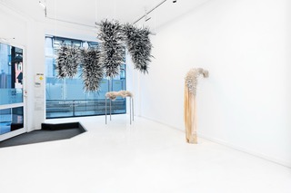 Exhibition view, Hybridia, Soft Gallery, 2021
Photo: Øystein Thorvaldsen 