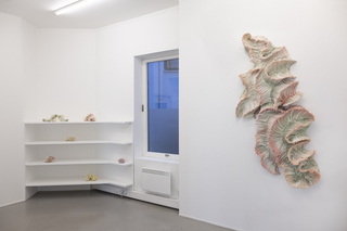 Beginning, Becoming, Galleri Format, Oslo, 2025, Photo Thor Brødreskift