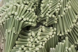 Untitled 2025, dyed nylon fabric, handshaped porcelain elements, tied
46 x 38 x 13 cm, Photo Thor Brødreskift